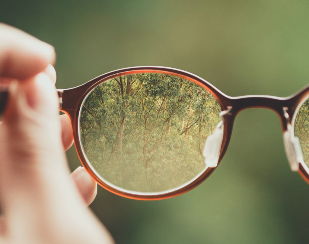 pair of glasses with green trees in background